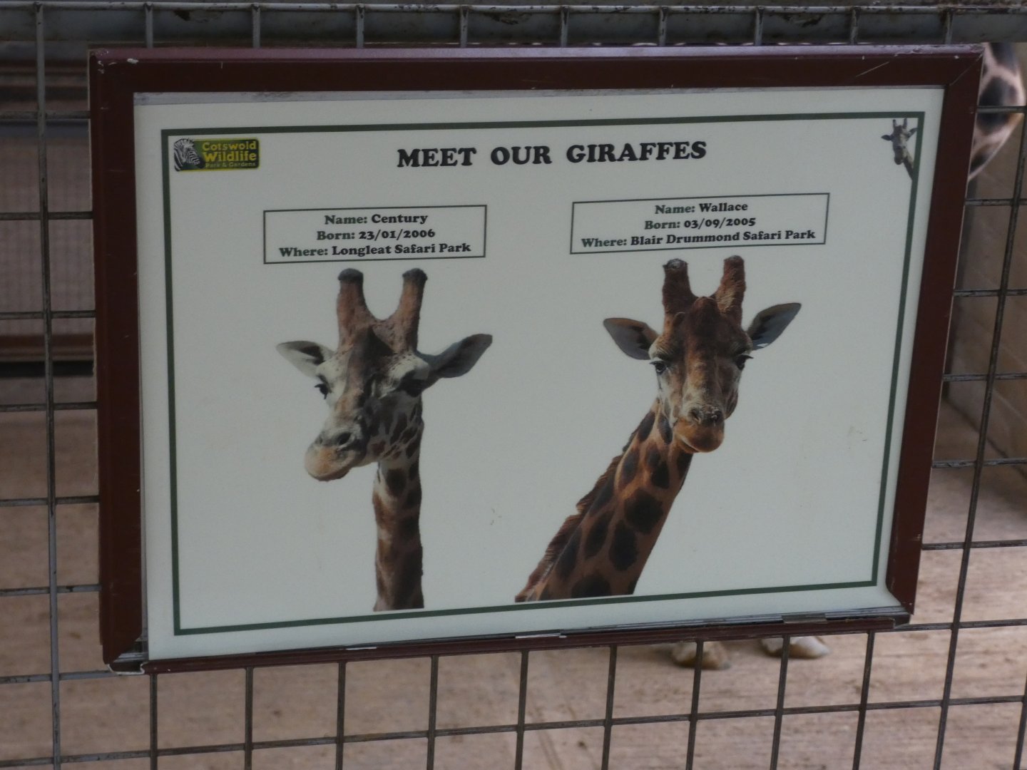 Giraffe ID signage