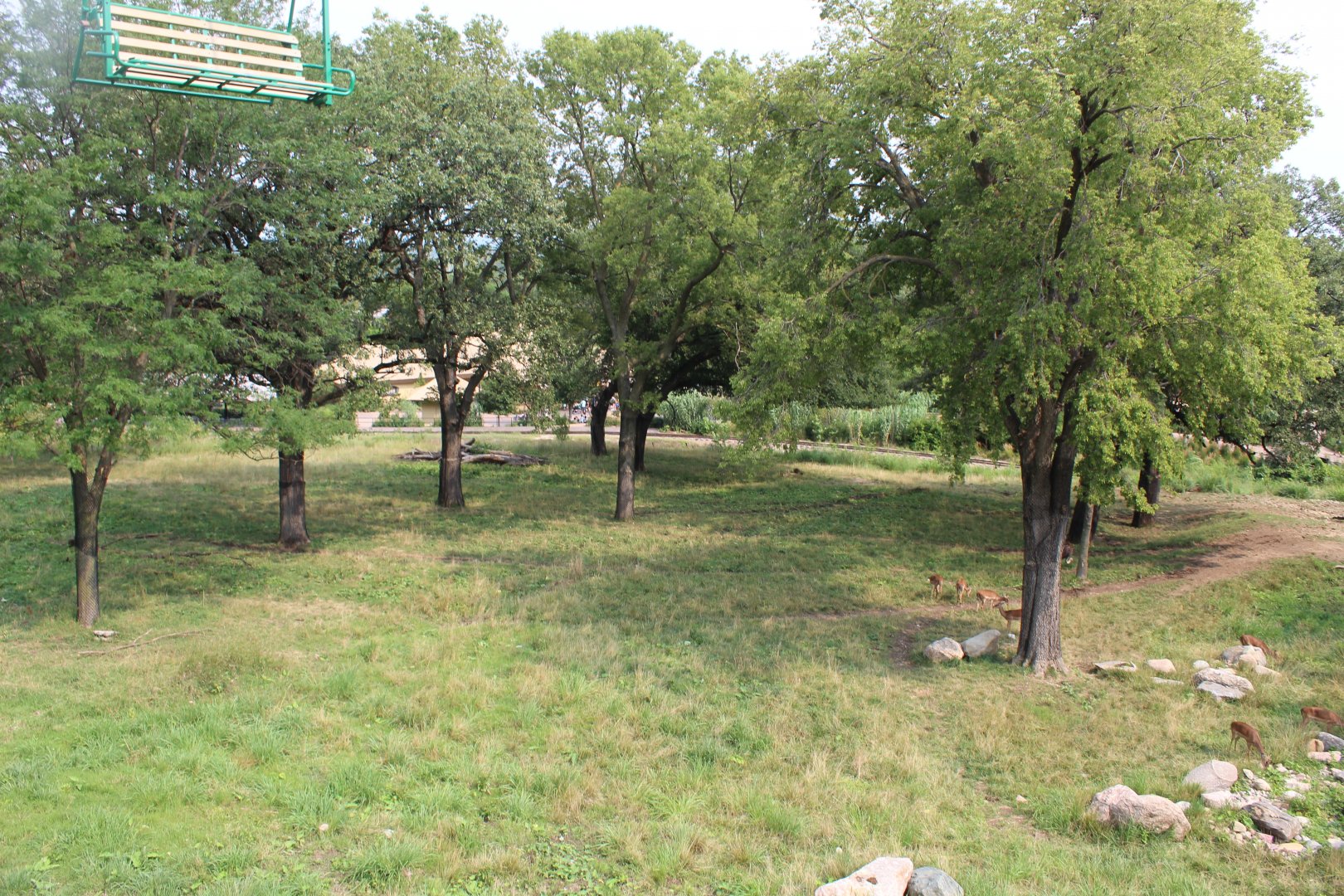 Giraffe, Impala, Lesser Kudu & Ostrich Exhibit - African Grasslands (View from Skyfari)