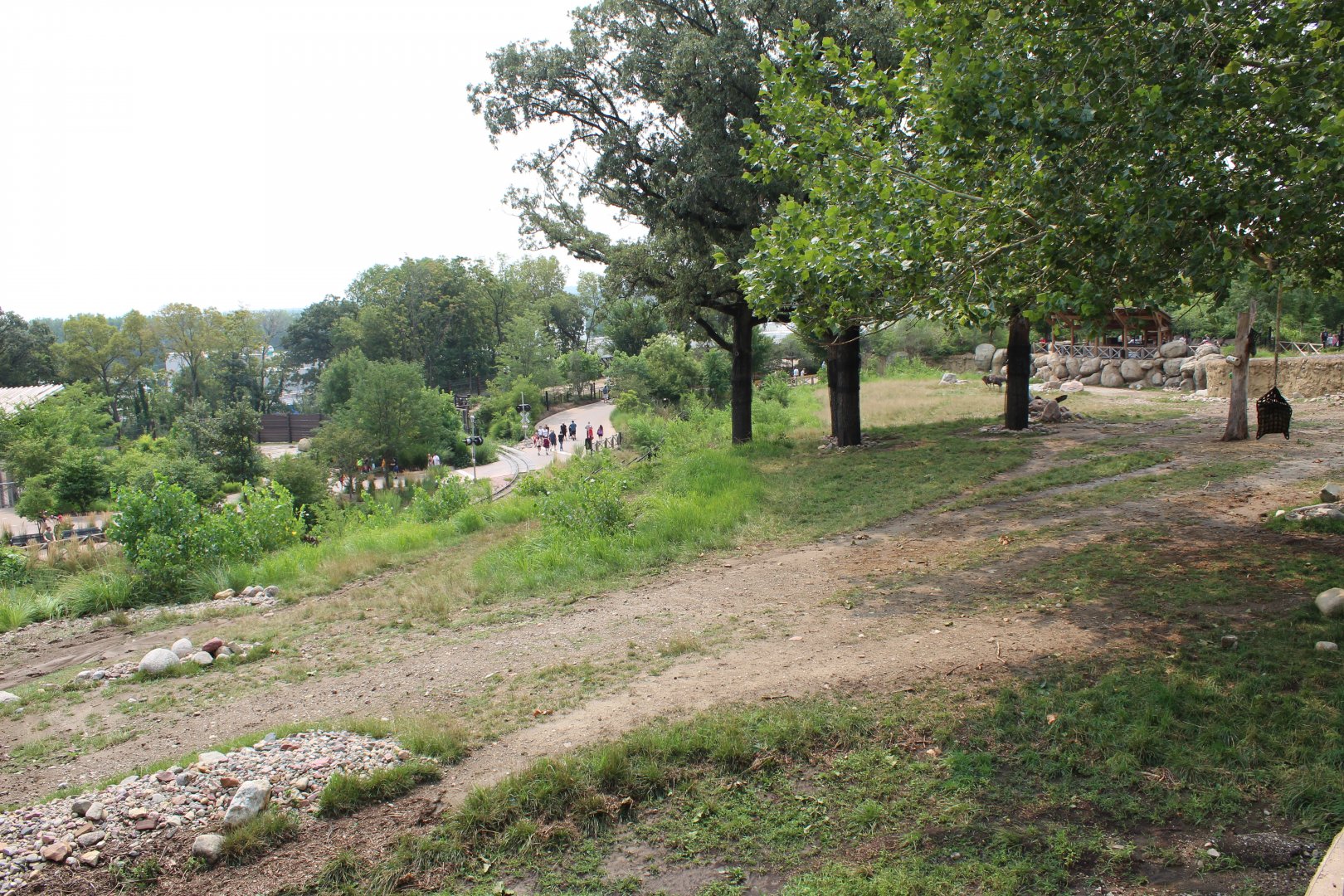 Giraffe, Impala, Lesser Kudu & Ostrich Exhibit - African Grasslands