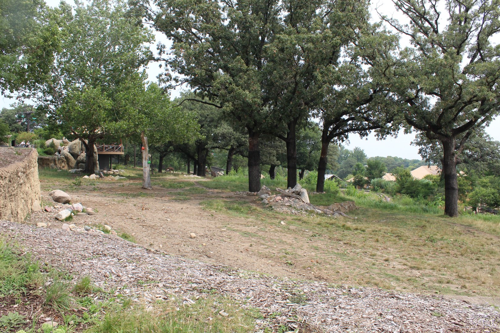 Giraffe, Impala, Lesser Kudu & Ostrich Exhibit - African Grasslands