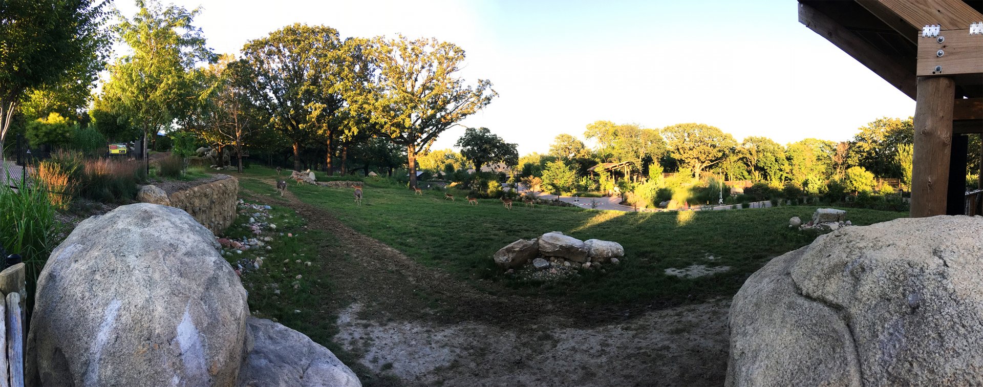 Giraffe, Impala & Ostrich Exhibit At Sunset 1