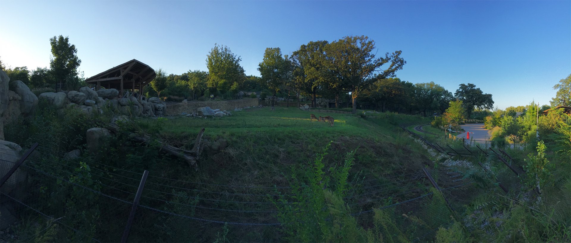 Giraffe, Impala & Ostrich Exhibit At Sunset 2