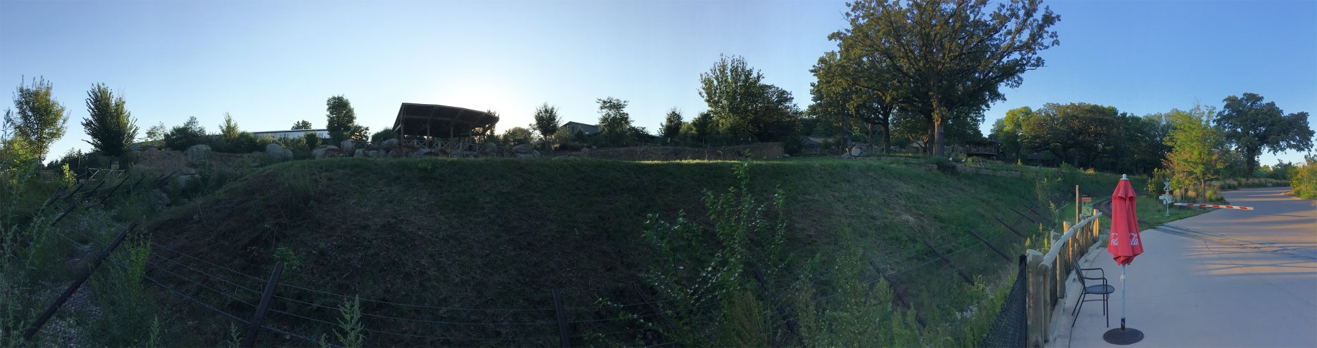 Giraffe, Impala & Ostrich Exhibit At Sunset 3