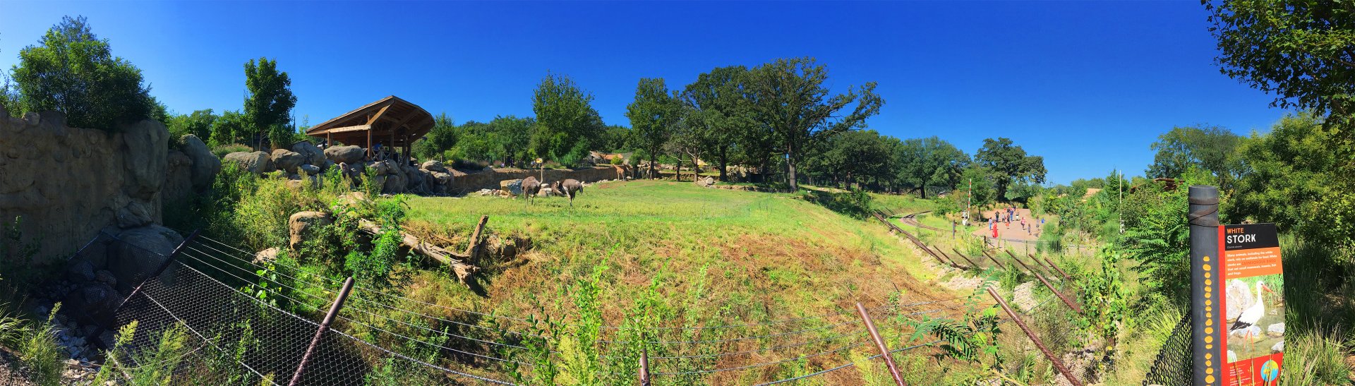 Giraffe, Impala & Ostrich Exhibit