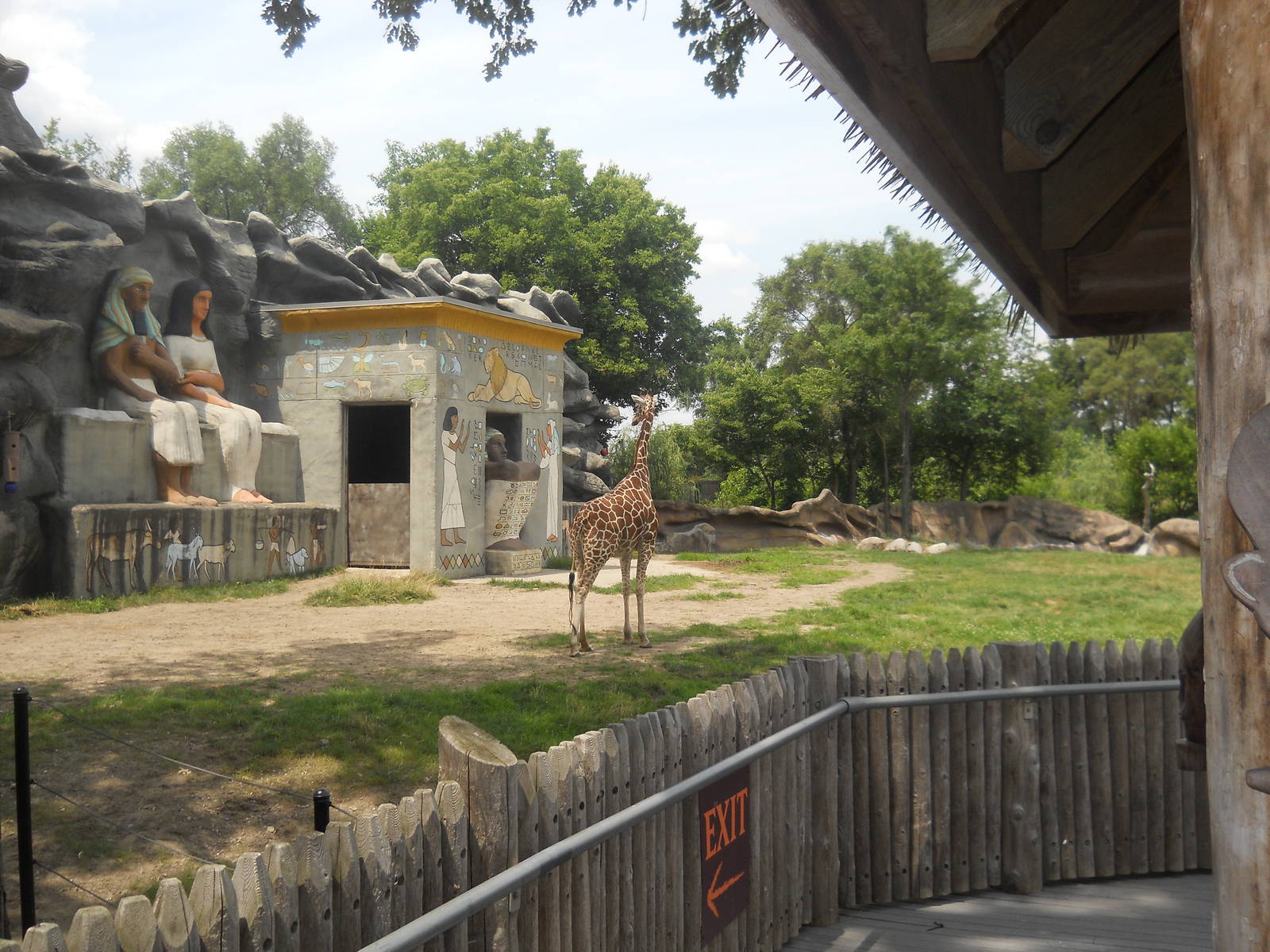 Giraffe in a very old, but spacious exhibit