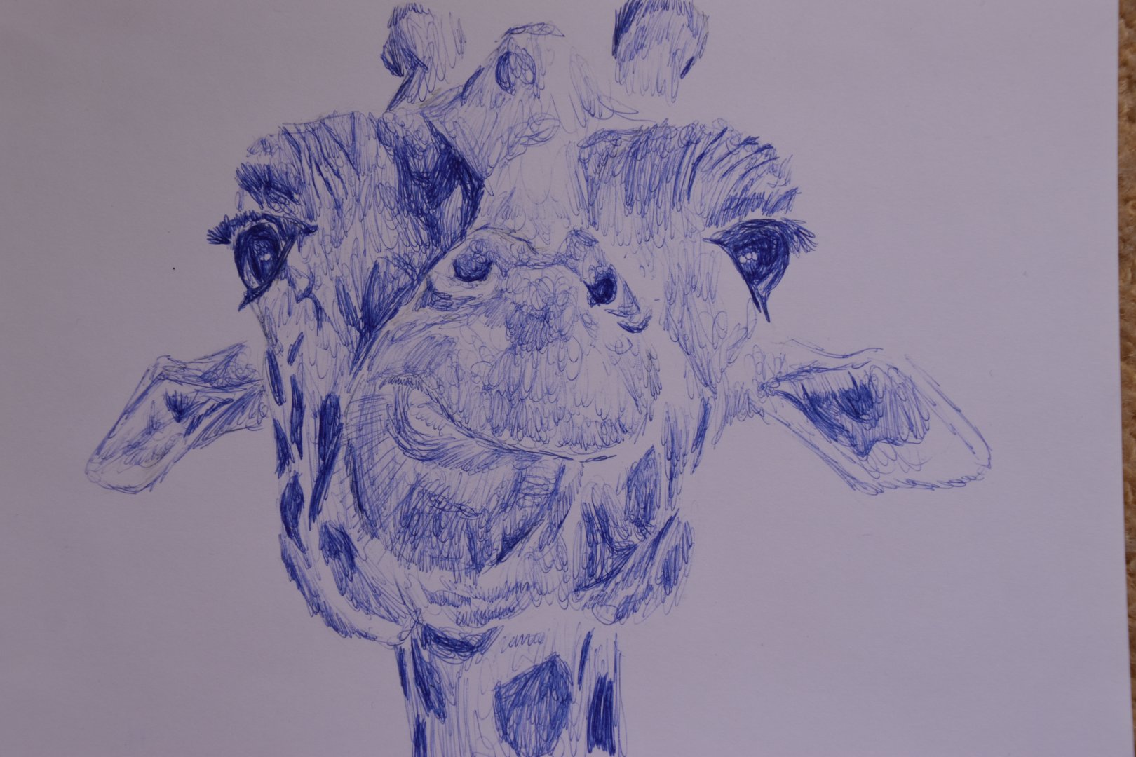 Giraffe in ballpoint