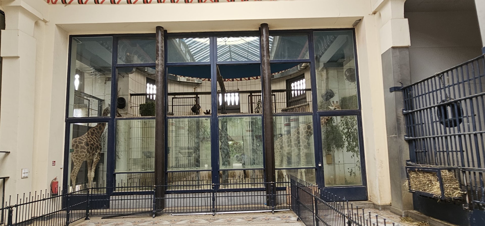 Giraffe indoor area, egyptain temple house