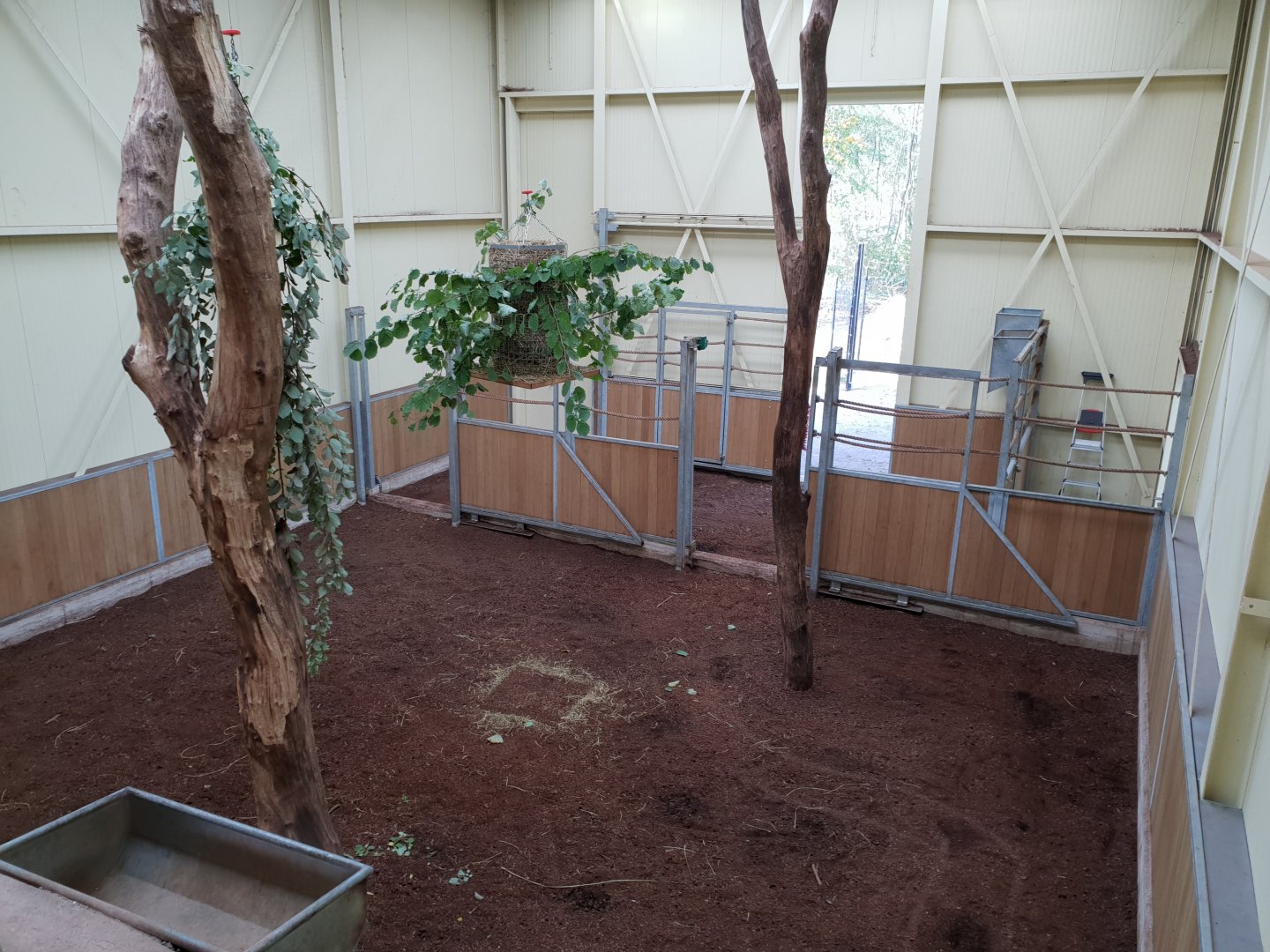 Giraffe indoor enclosure