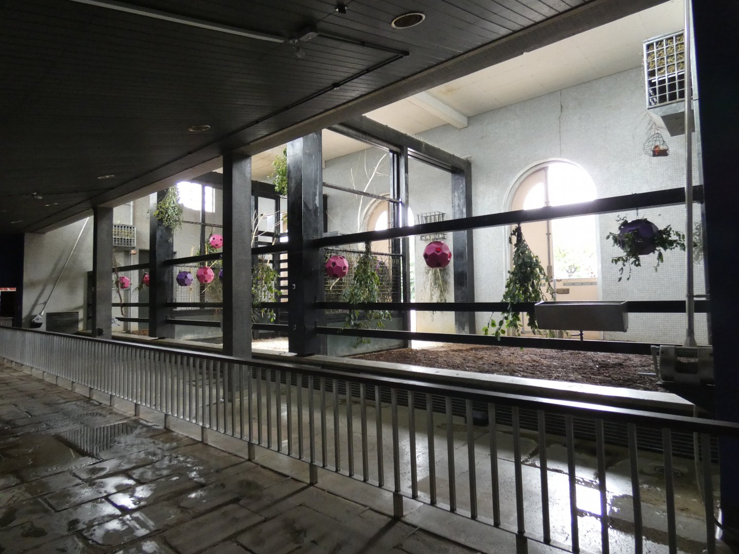 Giraffe indoor enclosure