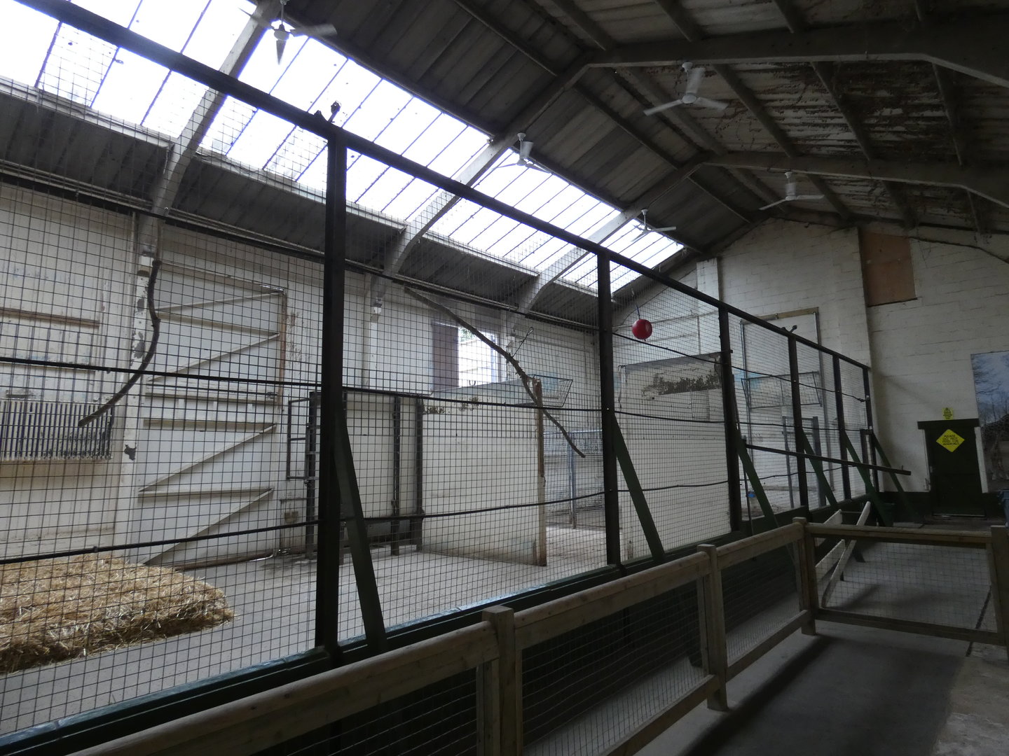 Giraffe indoor enclosure