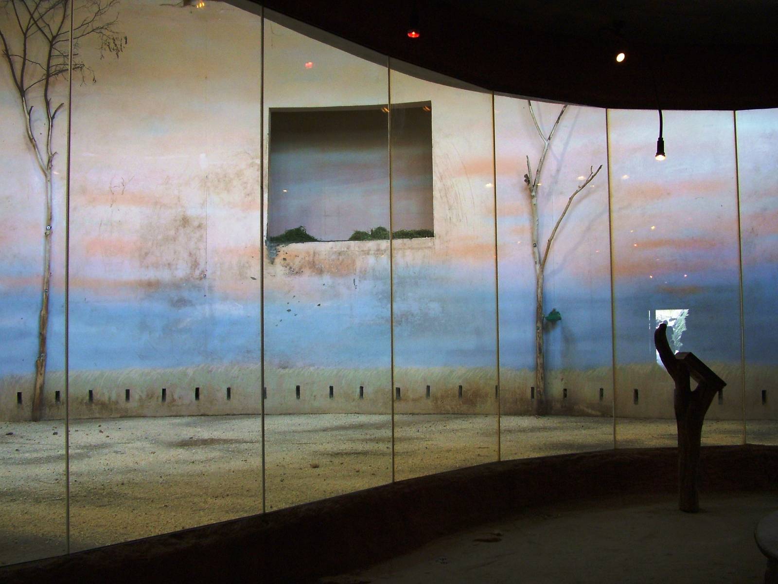 Giraffe Indoor Exhibit at Prague, 25/08/12