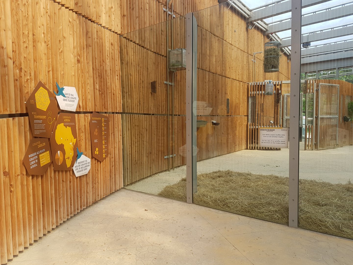Giraffe Indoor Exhibit with Signage