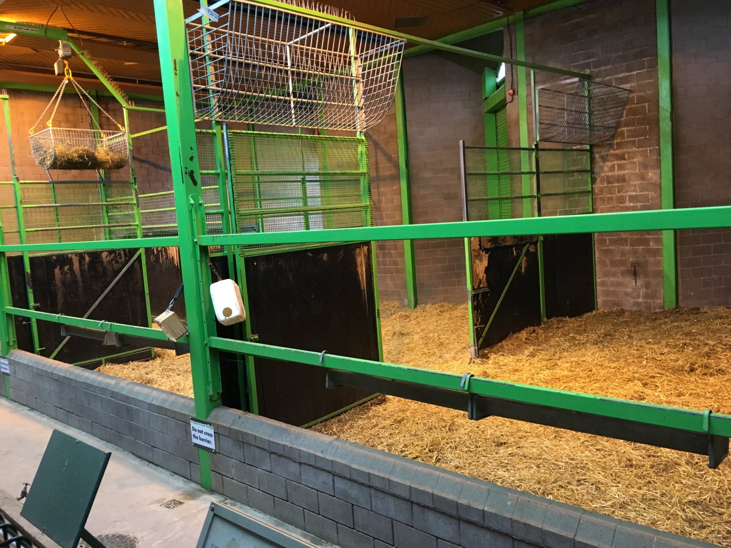 Giraffe Indoor Exhibit