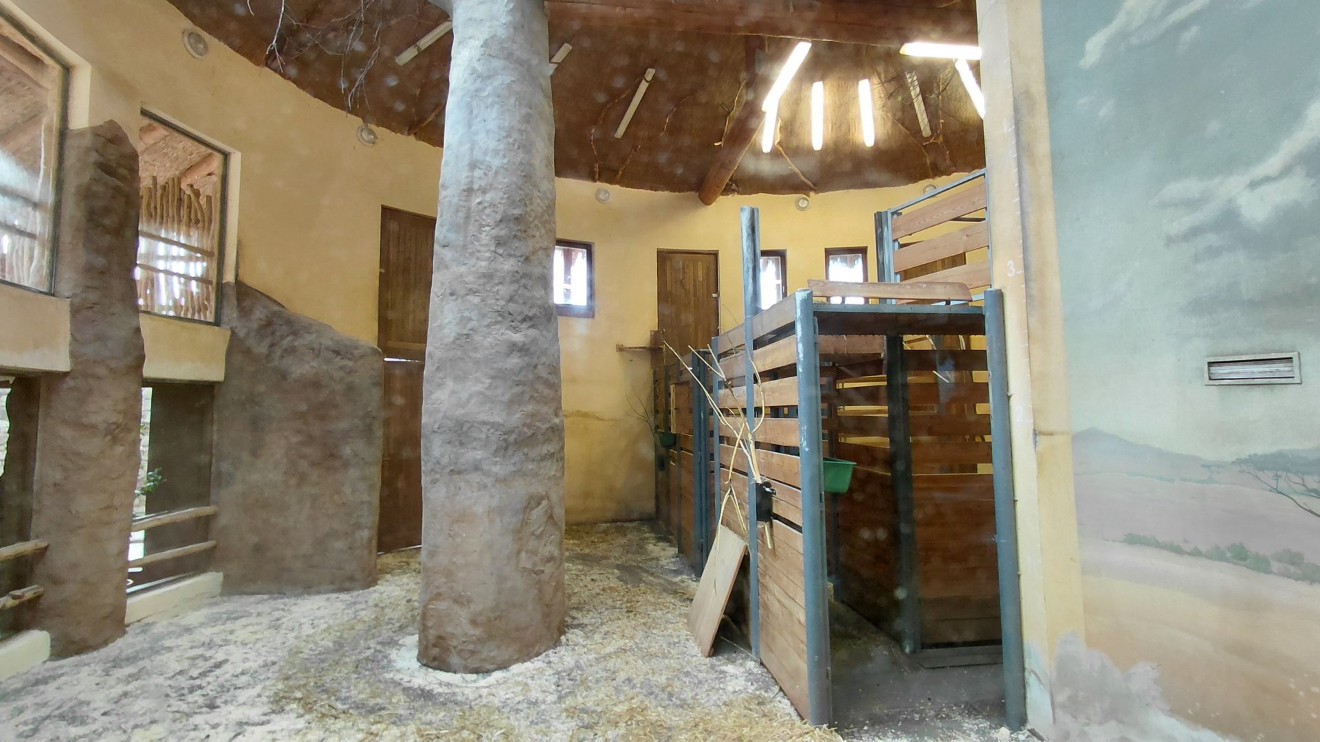 Giraffe indoor exhibit