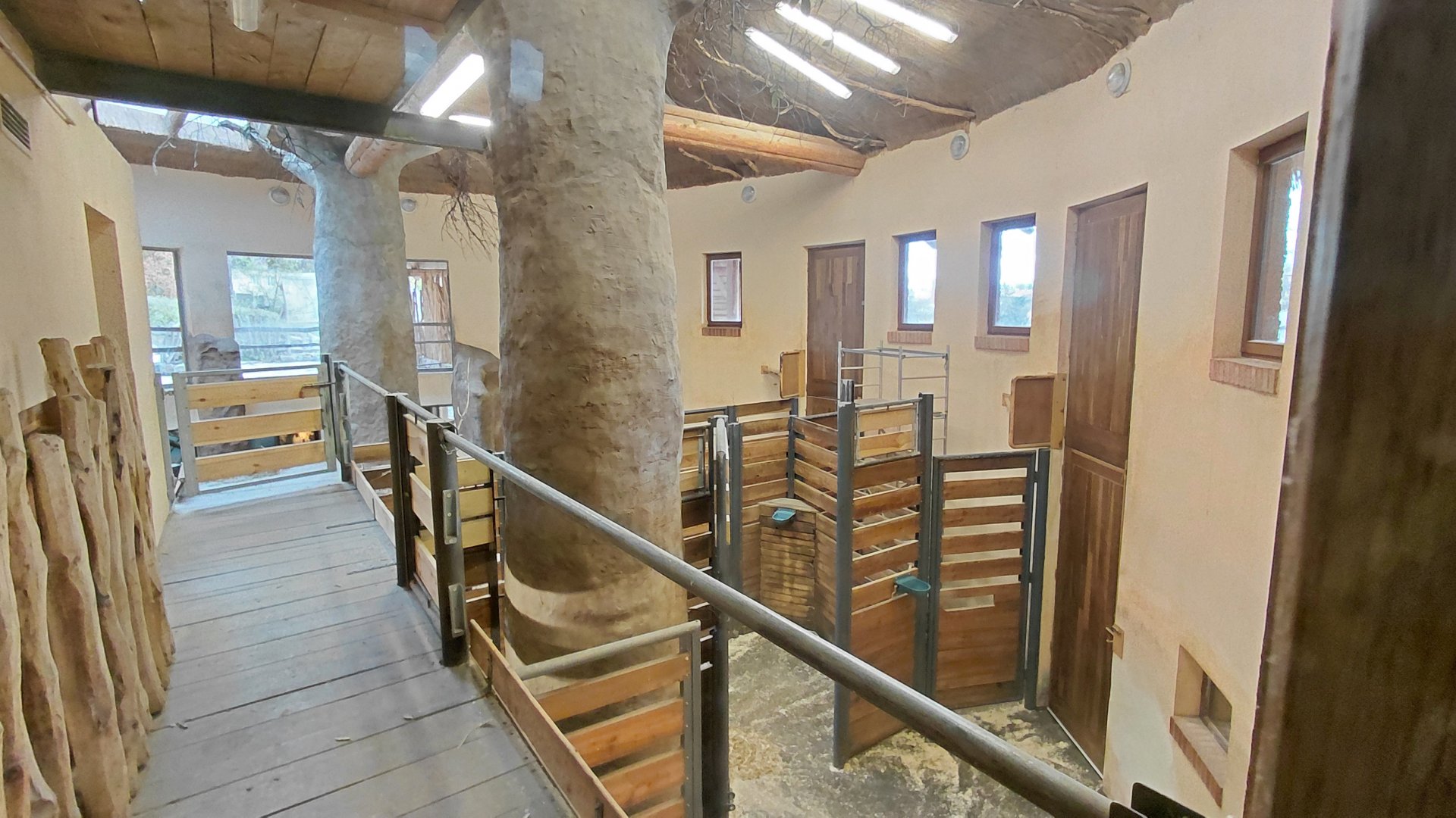 Giraffe indoor exhibit