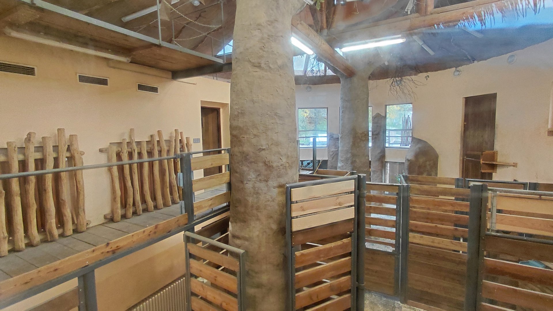 Giraffe indoor exhibit