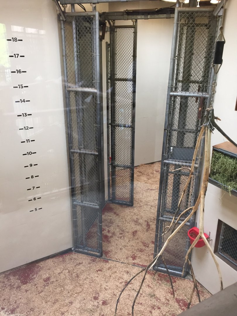 Giraffe Indoor Quarters