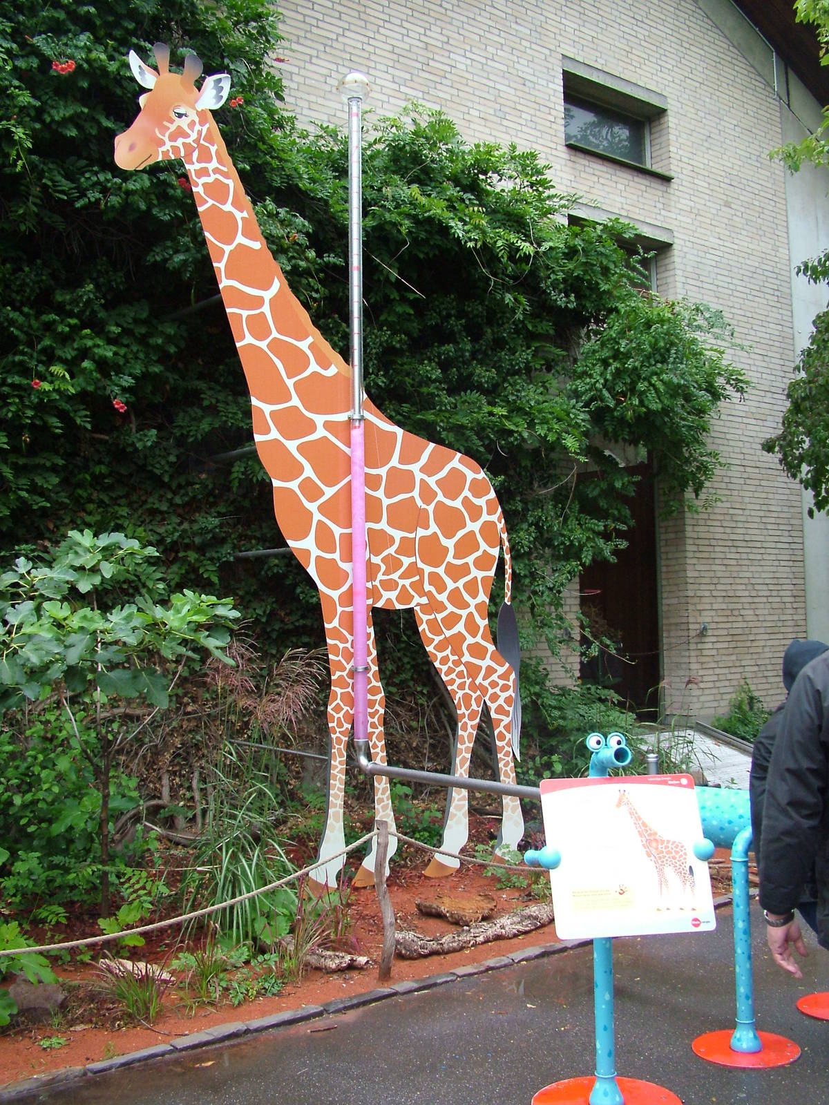 Giraffe Interpretation at Cologne, 07/09/10