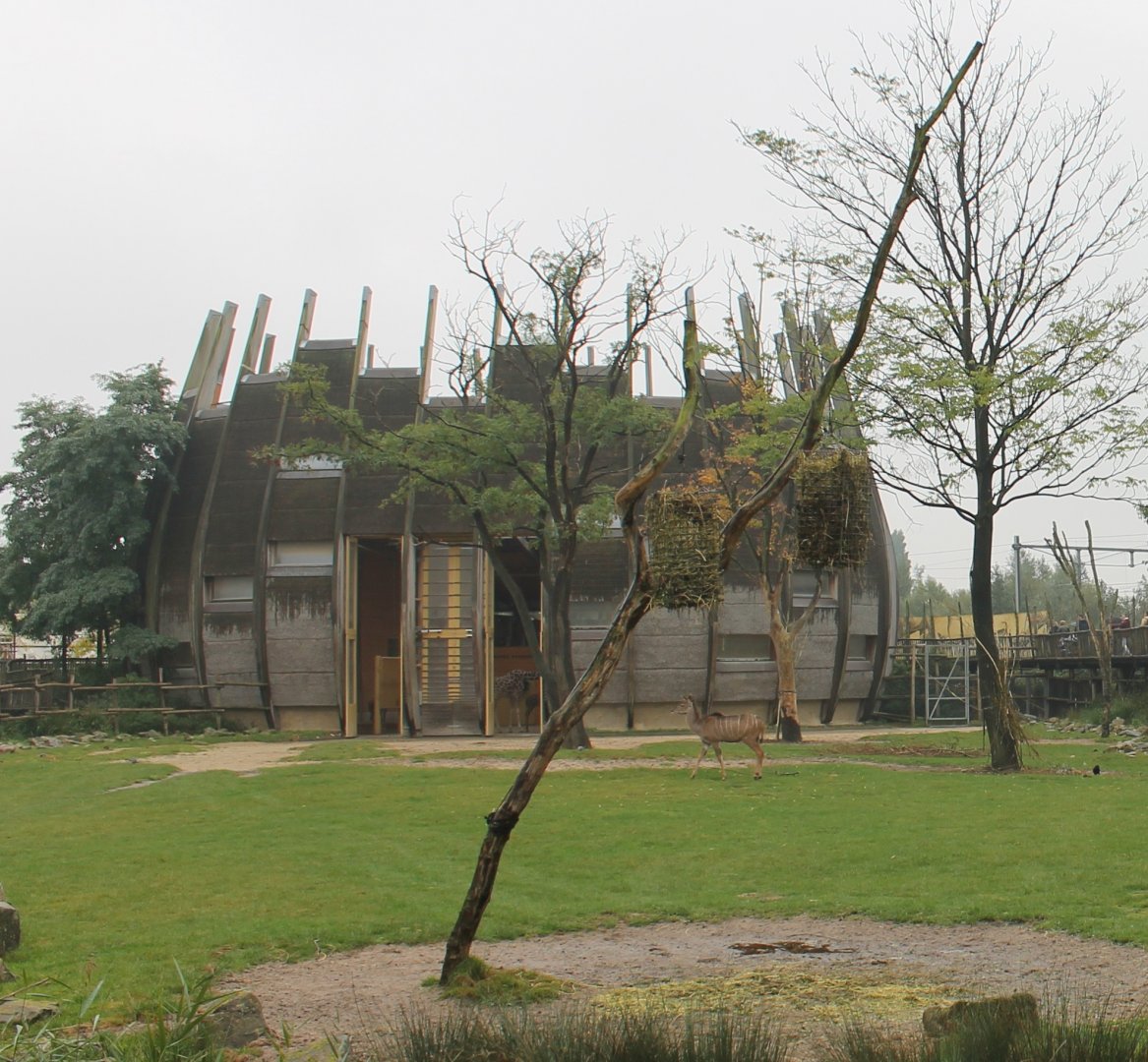 Giraffe - Kudu enclosure with indoor-enclosure