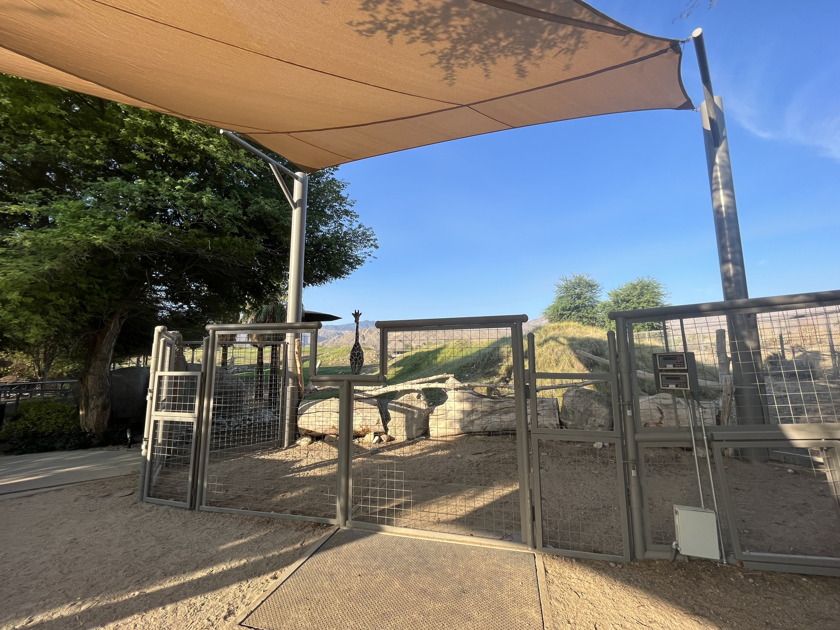 Giraffe/Kudu/Ostrich Exhibit