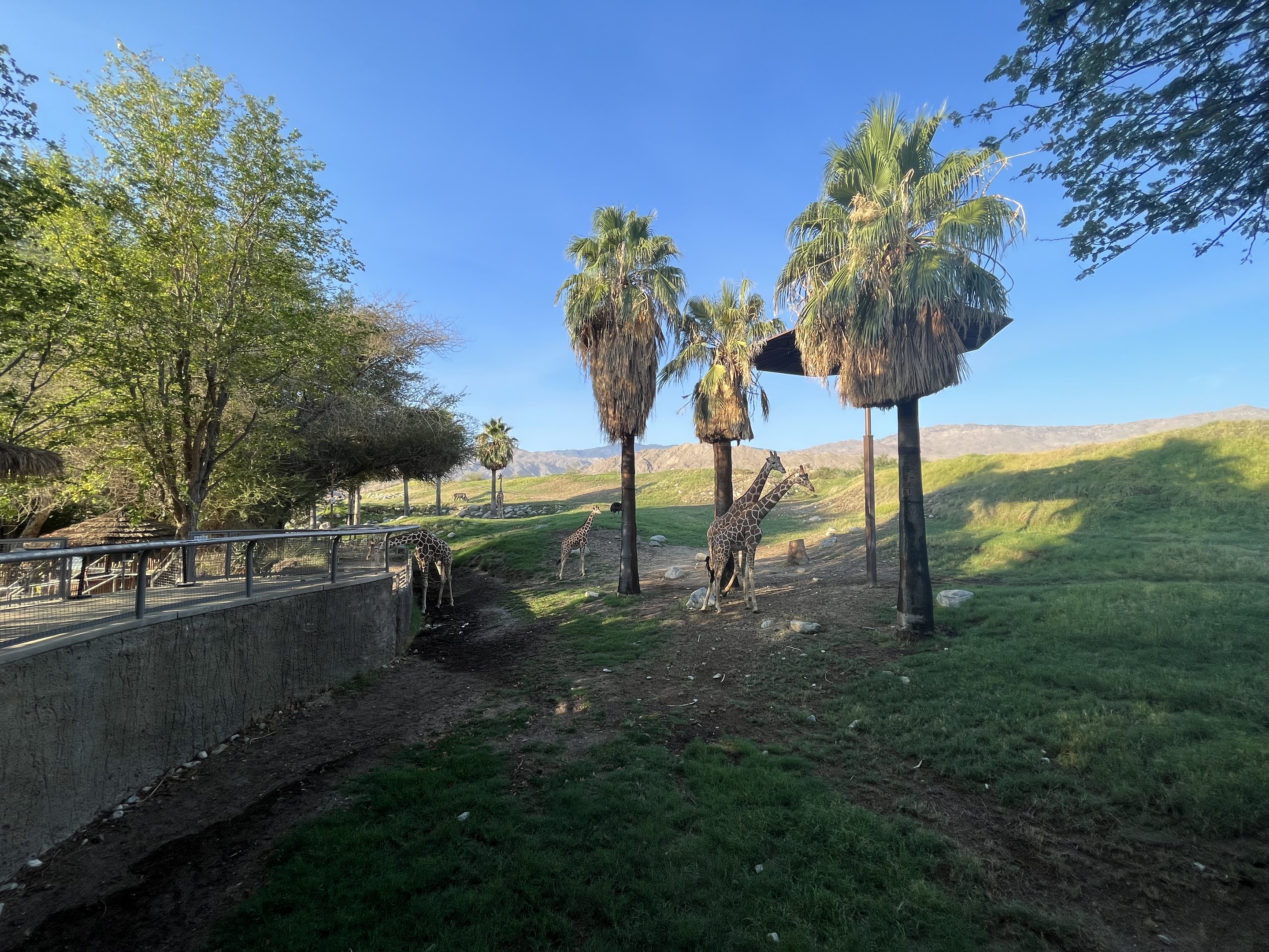 Giraffe/Kudu/Ostrich Exhibit