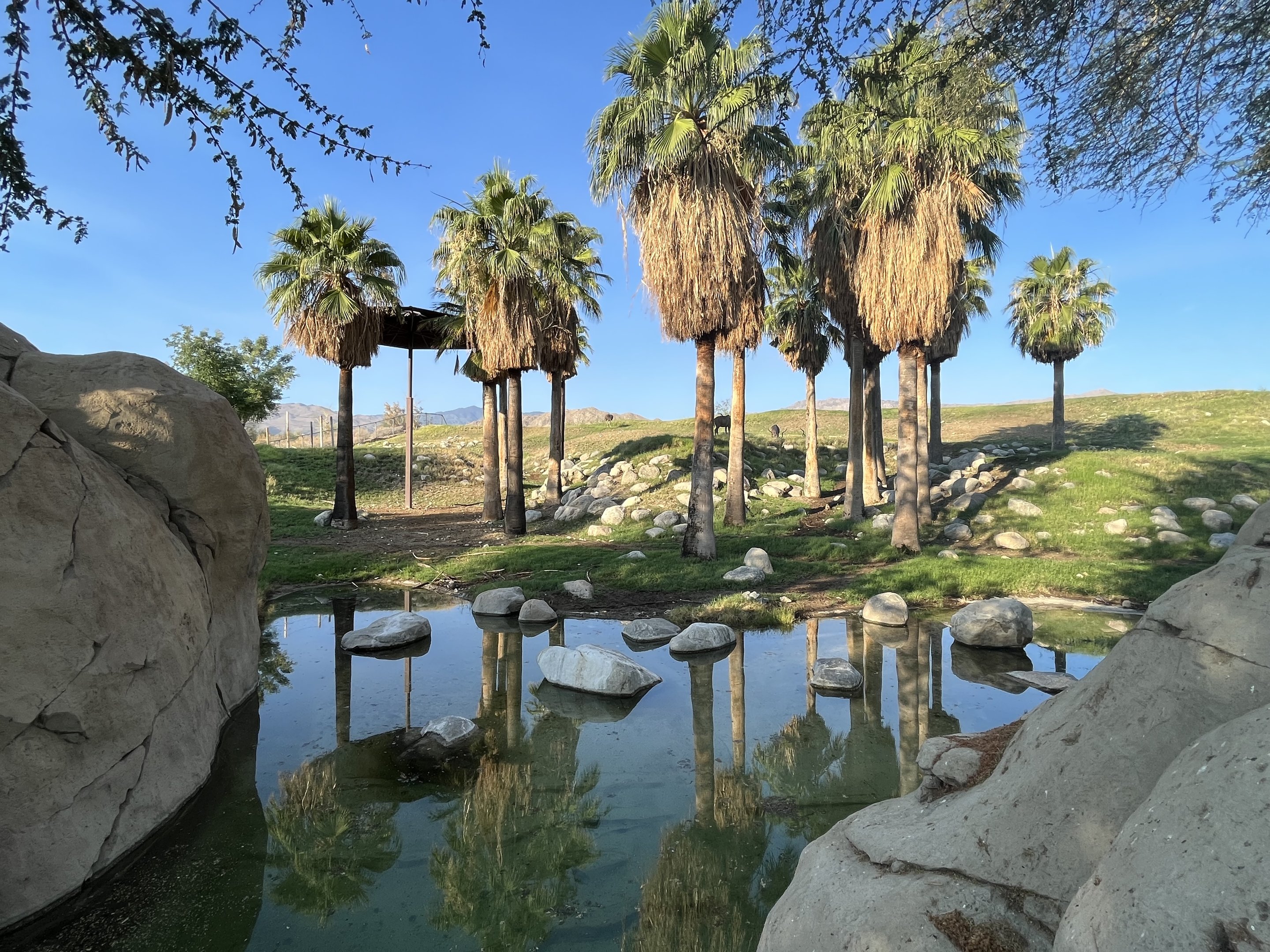 Giraffe/Kudu/Ostrich Exhibit