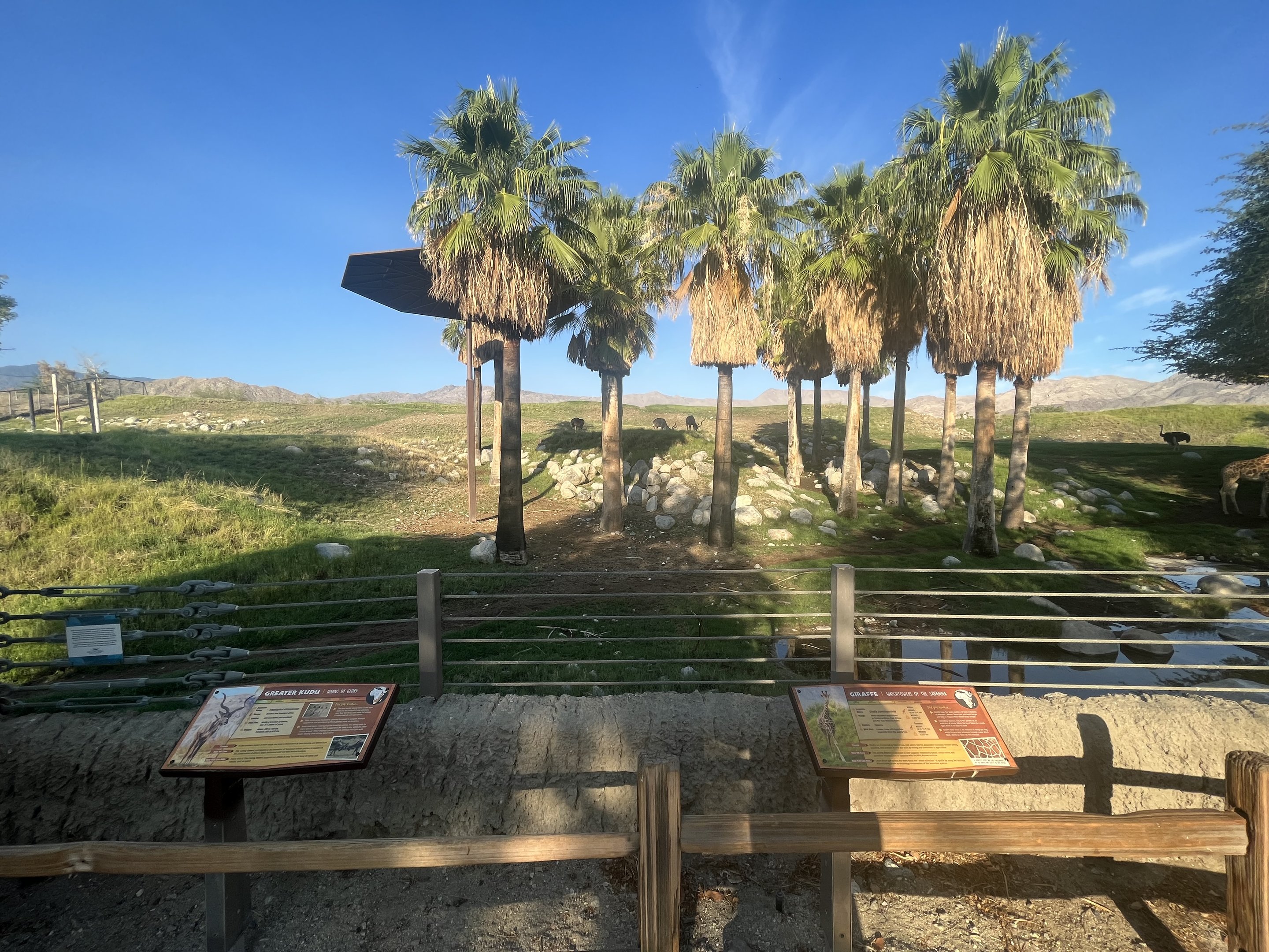 Giraffe/Kudu/Ostrich Exhibit