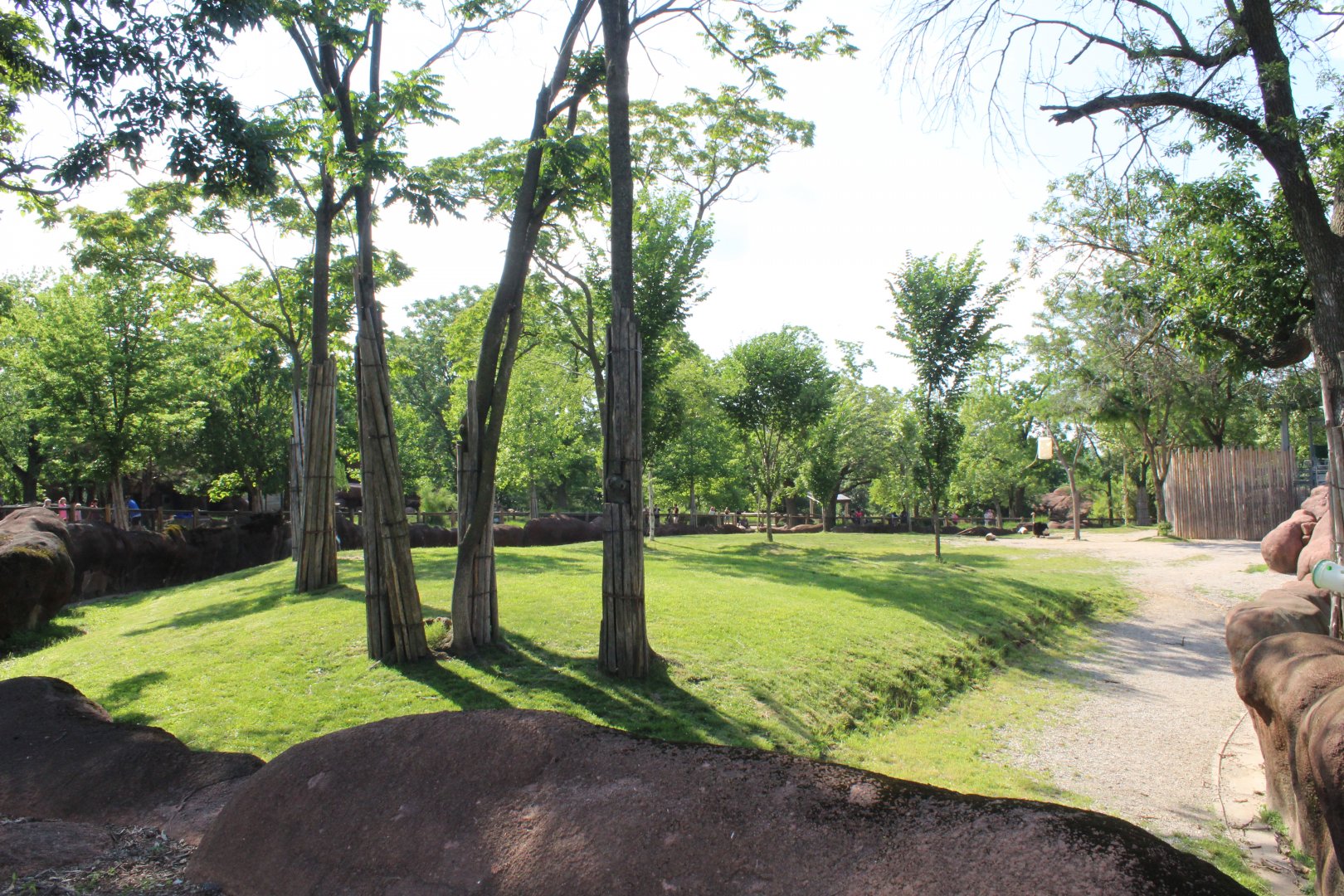 Giraffe, Lesser Kudu, Gerenuk & Ostrich Exhibit - Red Rocks