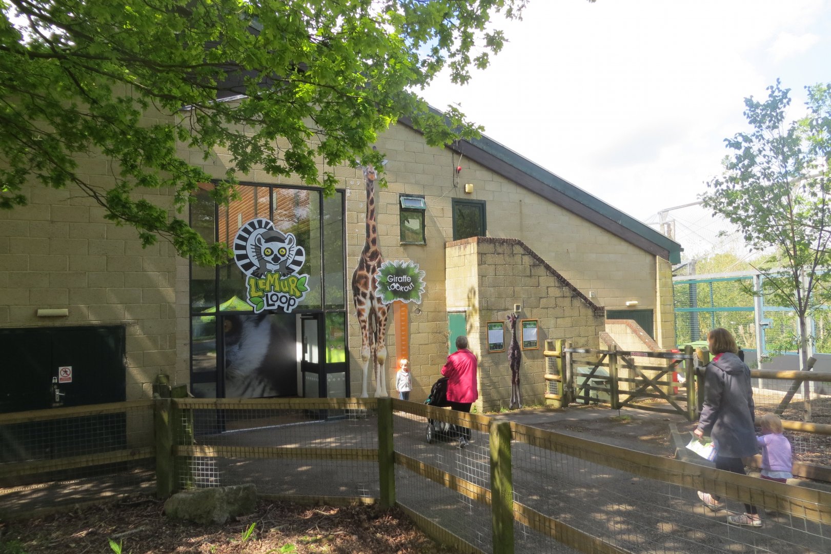 Giraffe Lookout and Lemur Loop 110519