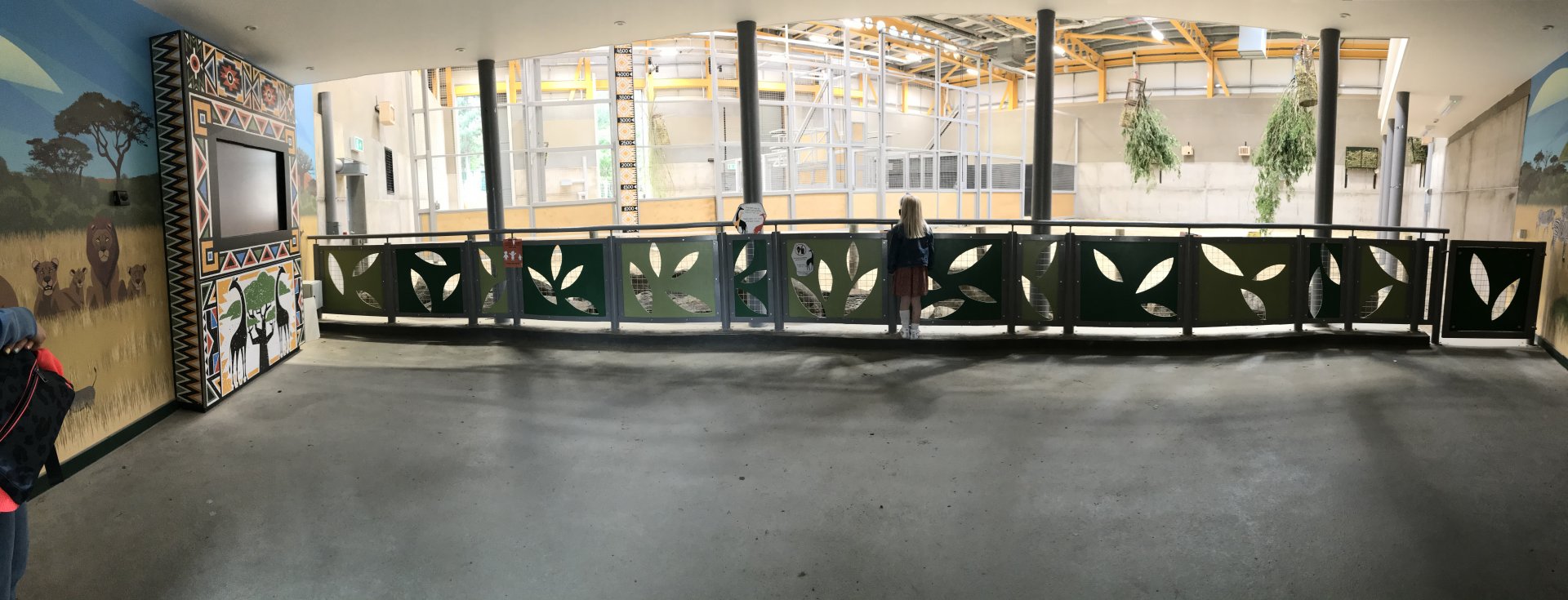 Giraffe lower indoor viewing