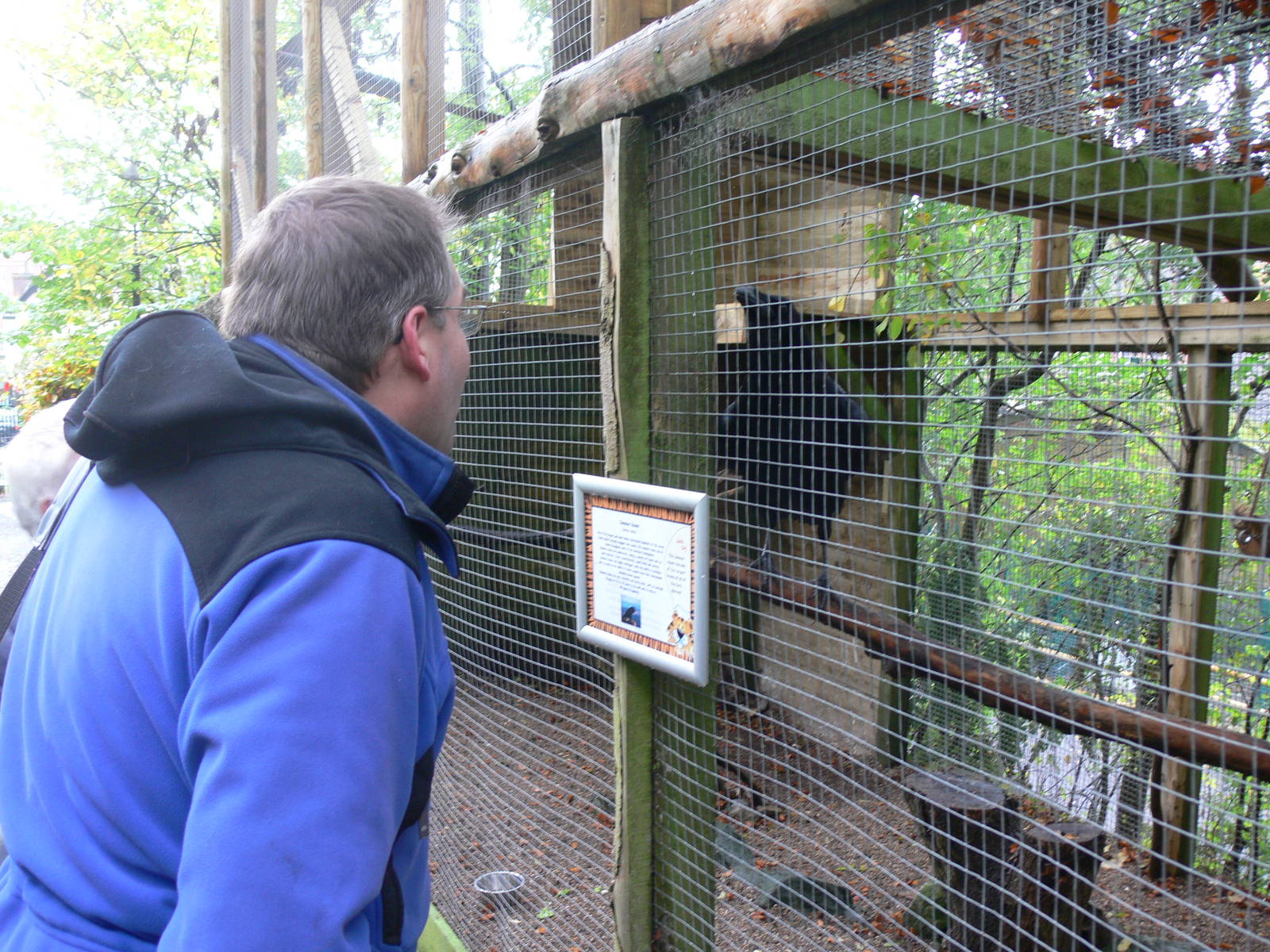 Giraffe meets Raven at Dudley, 02/11/13
