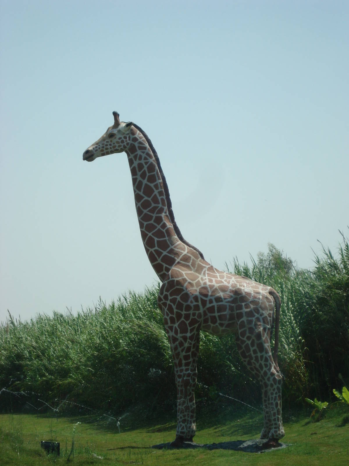 Giraffe model outside park