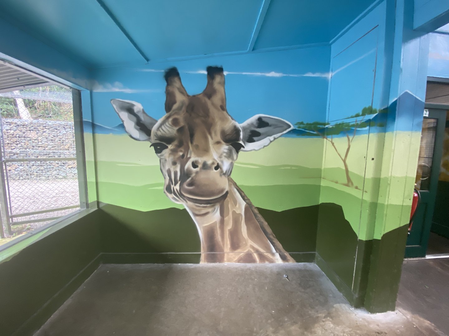 Giraffe mural