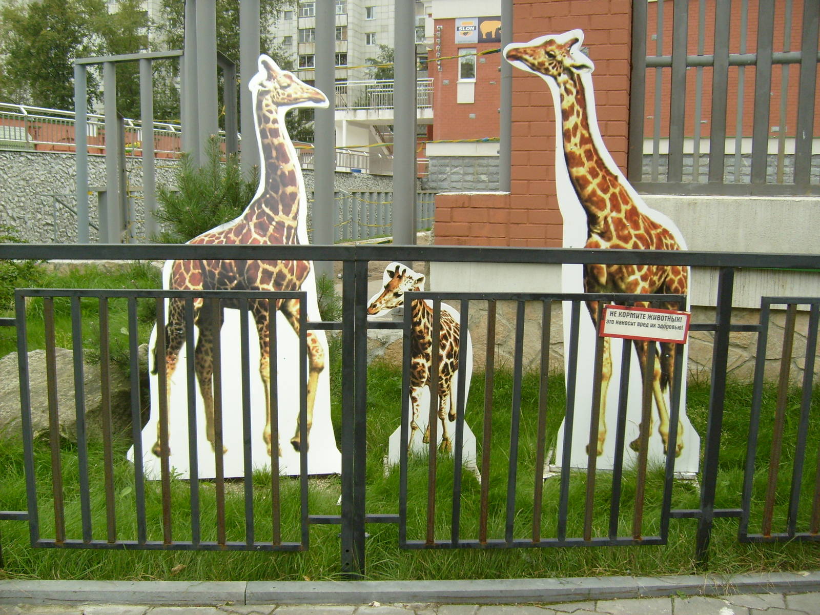 Giraffe murals at elephant exhibit