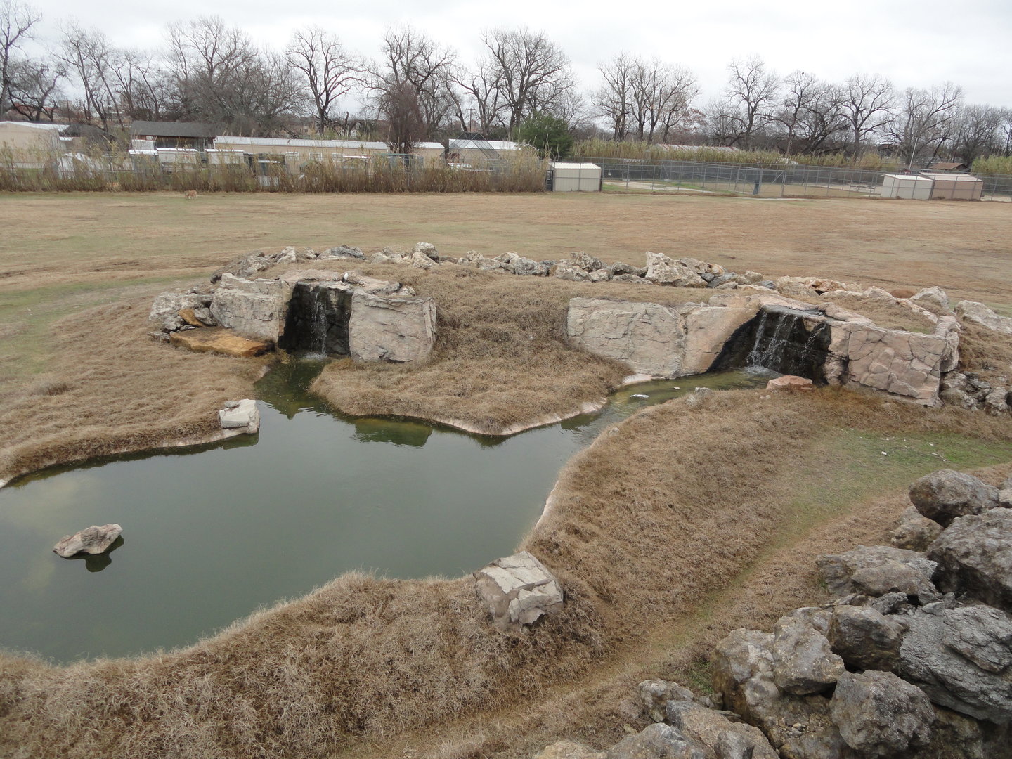 Giraffe, Nubian Ibex, Ostrich Exhibit