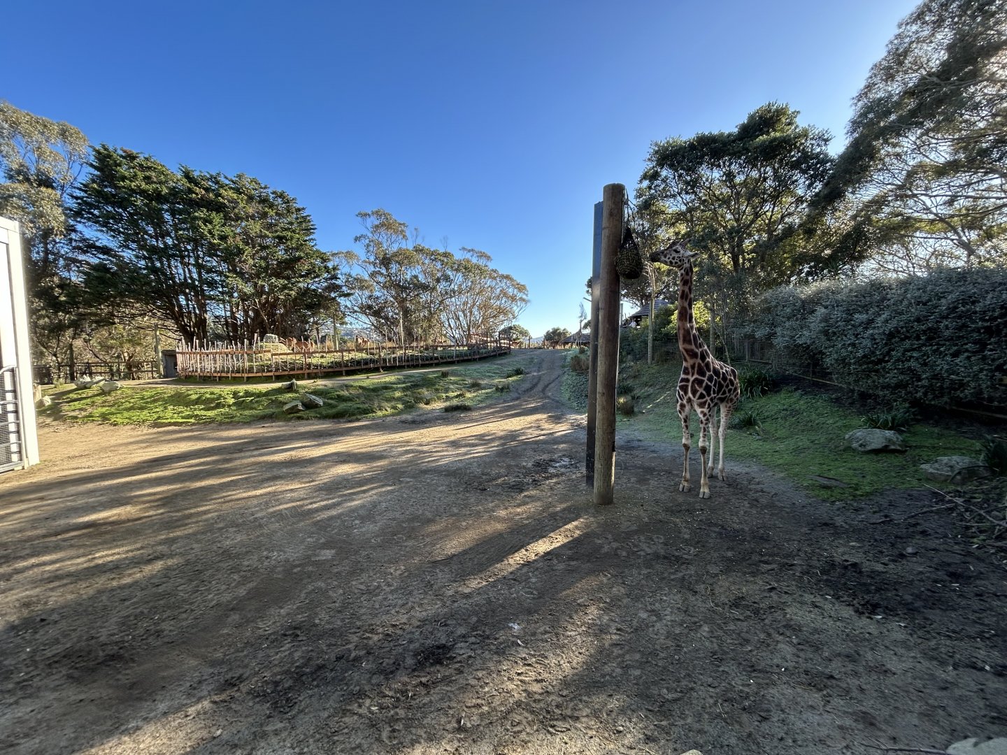 Giraffe, Nyala, & Ostrich Exhibit