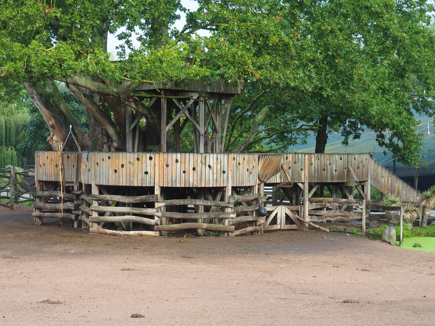 Giraffe observation platform, 2022-09-15