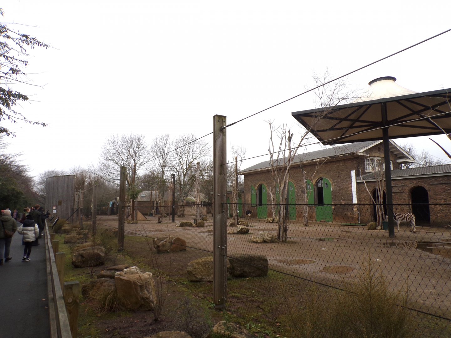 Giraffe, Ostrich and zebra enclosure 11.2.25