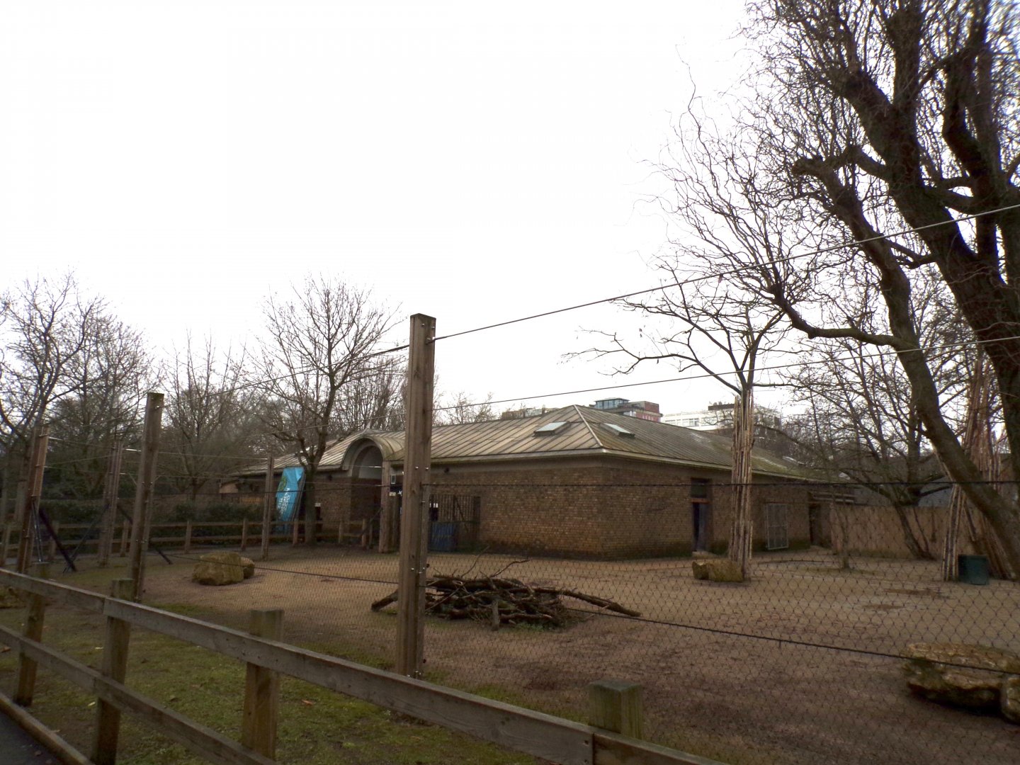 Giraffe, Ostrich and zebra enclosure 11.2.25