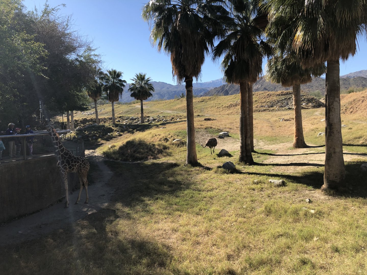 Giraffe/Ostrich/Kudu Exhibit
