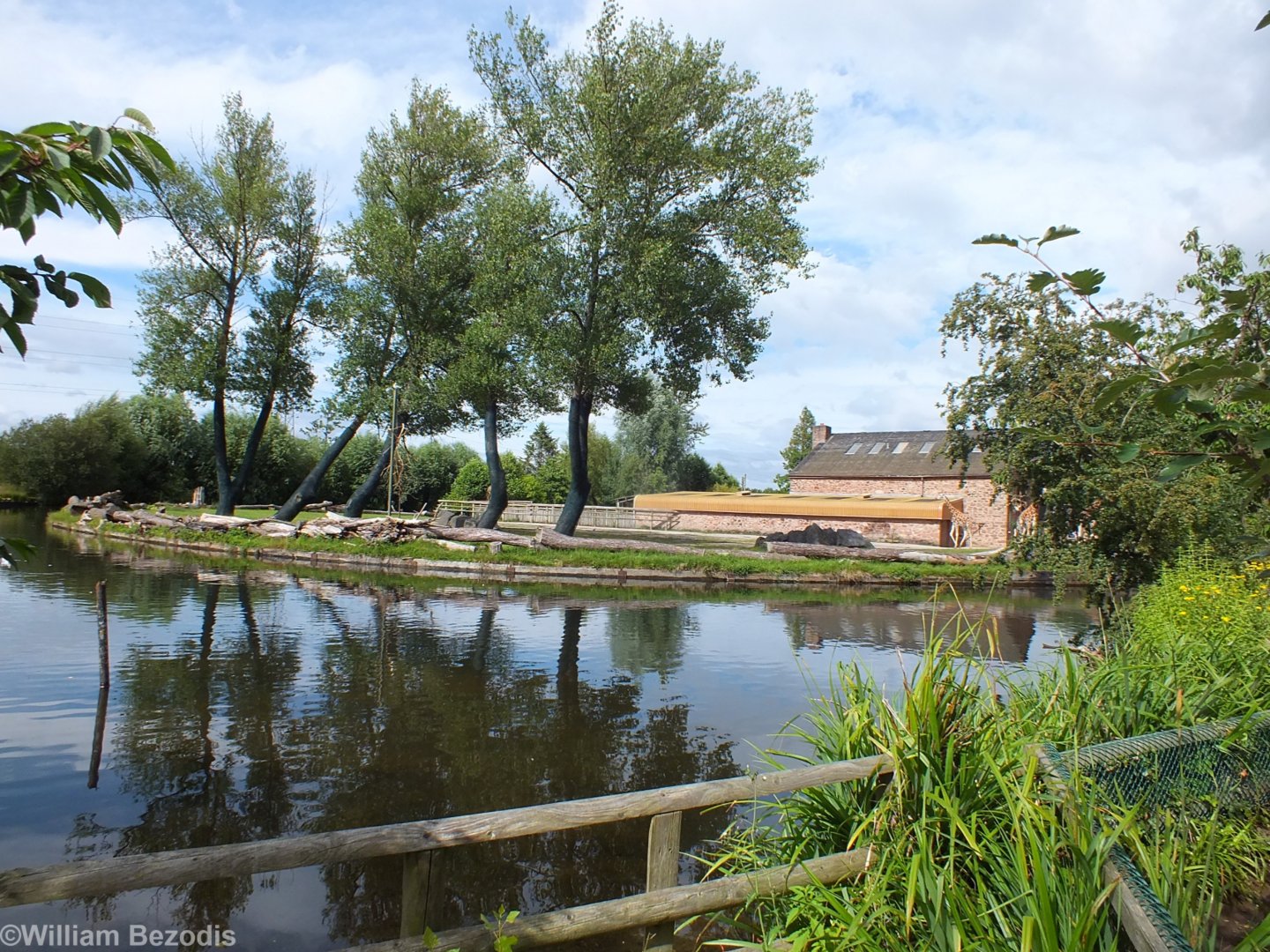 Giraffe Outdoor Enclosure