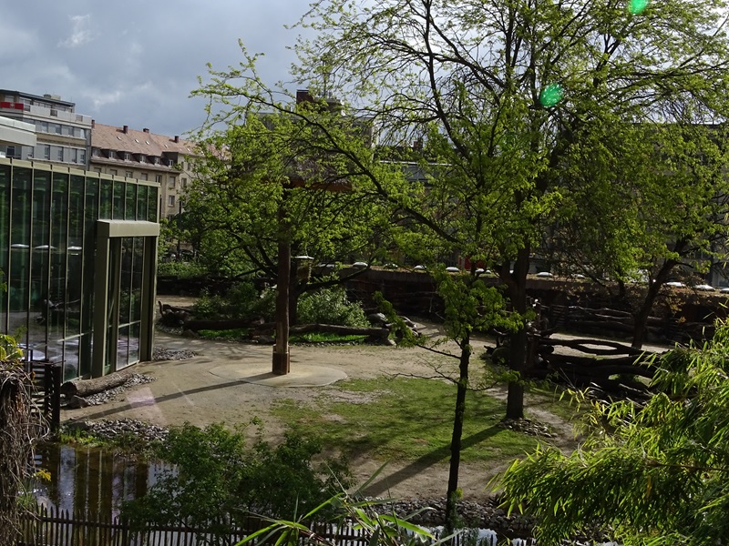 Giraffe outdoor enclosure