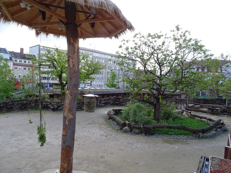 Giraffe outdoor enclosure