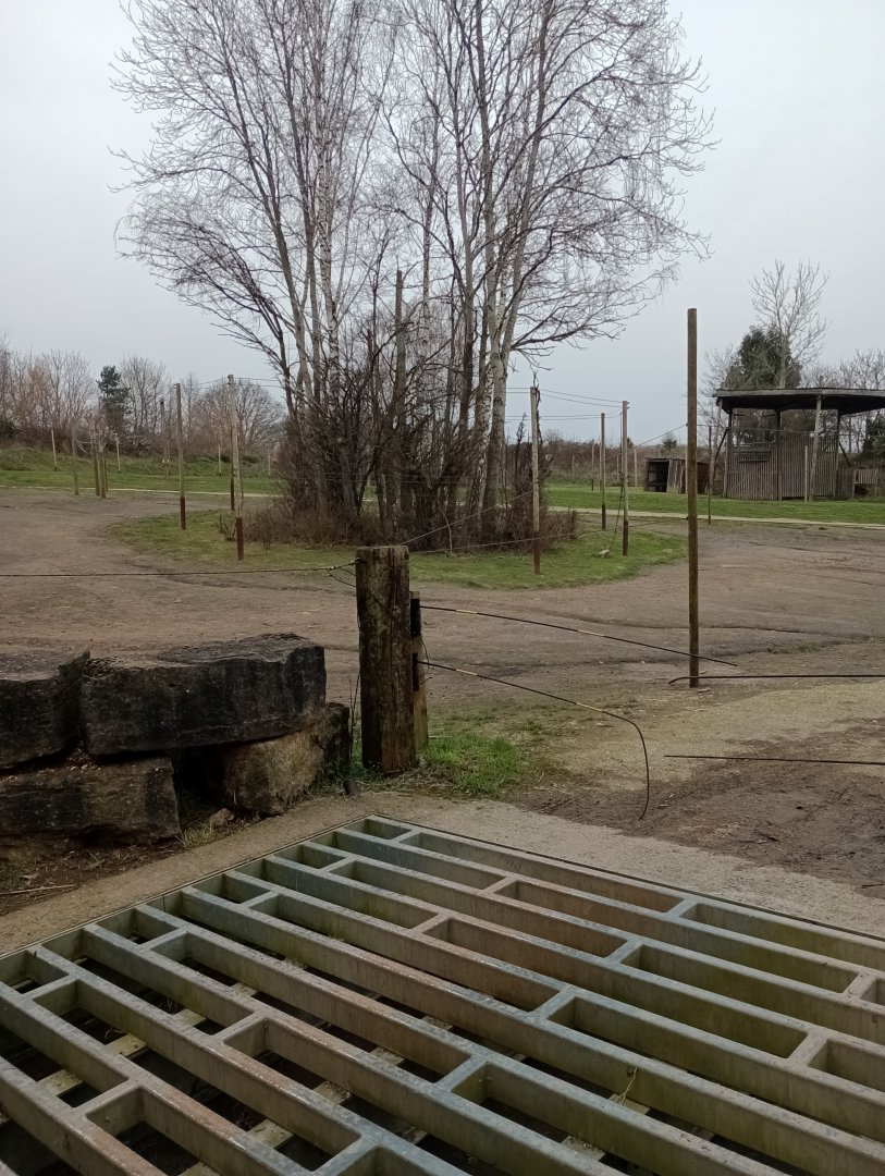 Giraffe outdoor enclosure