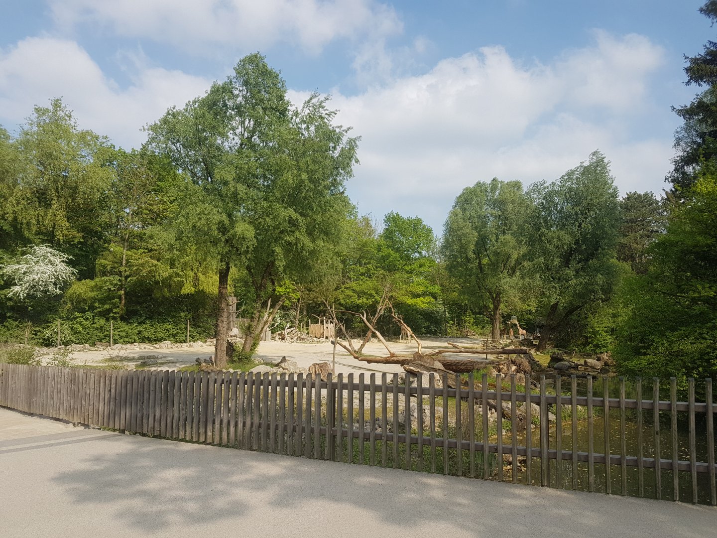 Giraffe Outdoor Exhibit, the view from Pathway