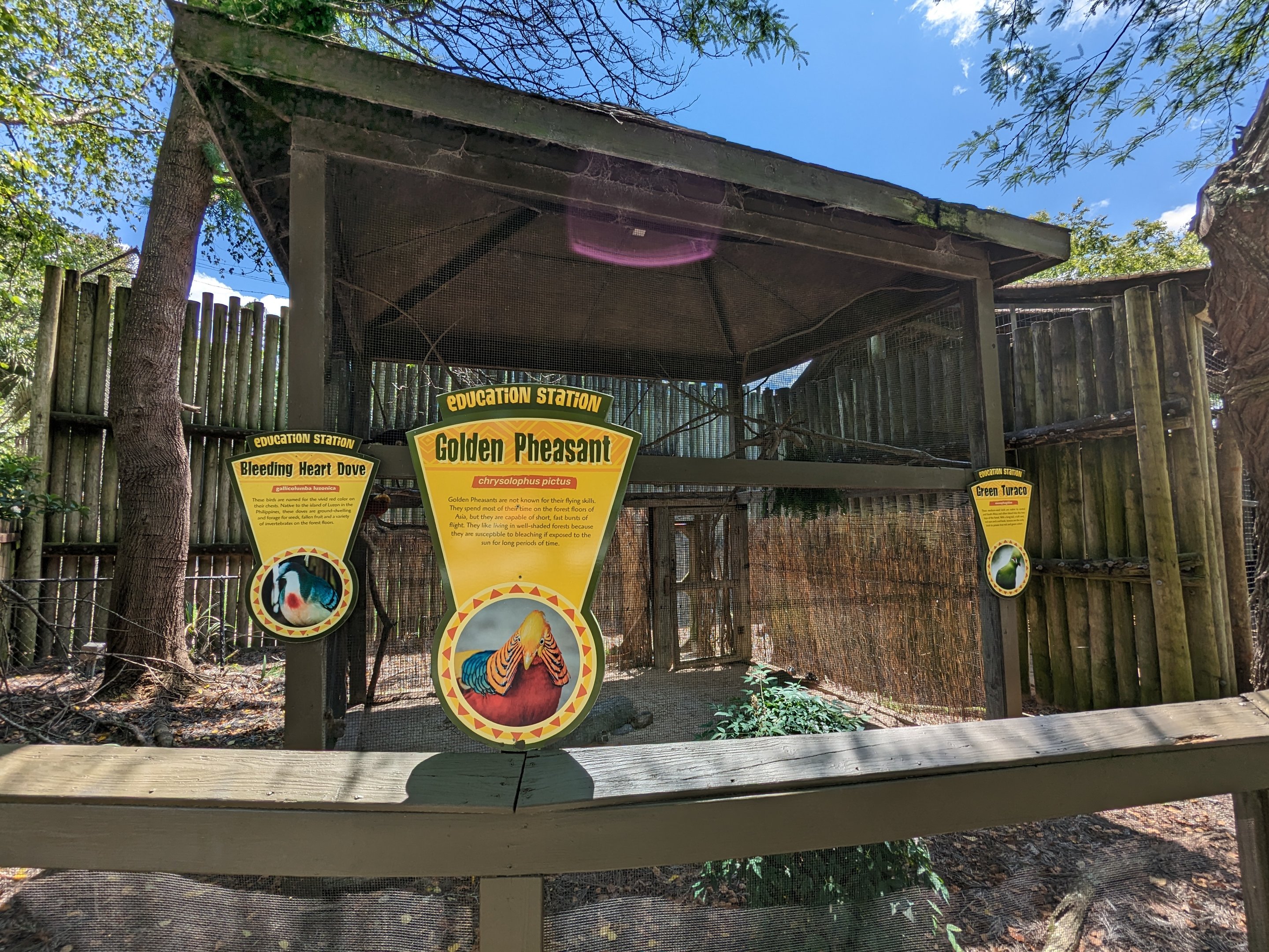 Giraffe overlook - aviary