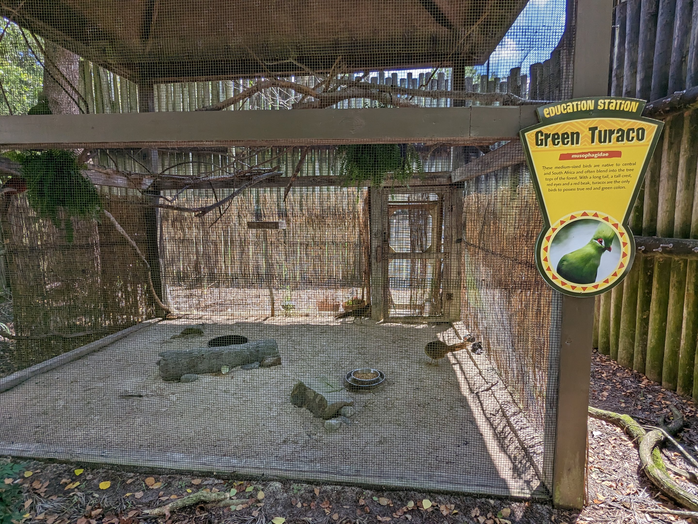 Giraffe overlook - Aviary