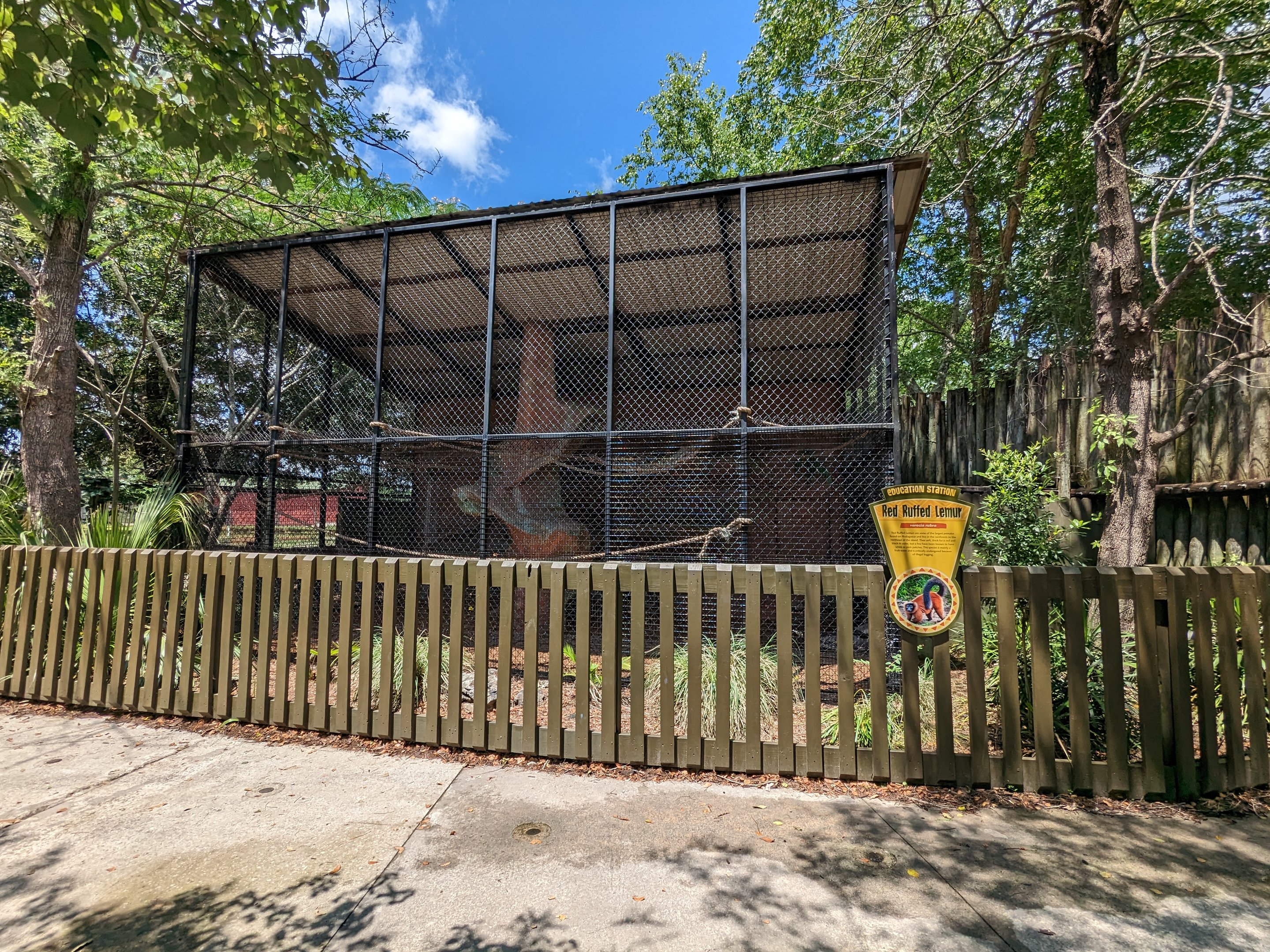 Giraffe overlook - red ruffed lemurs