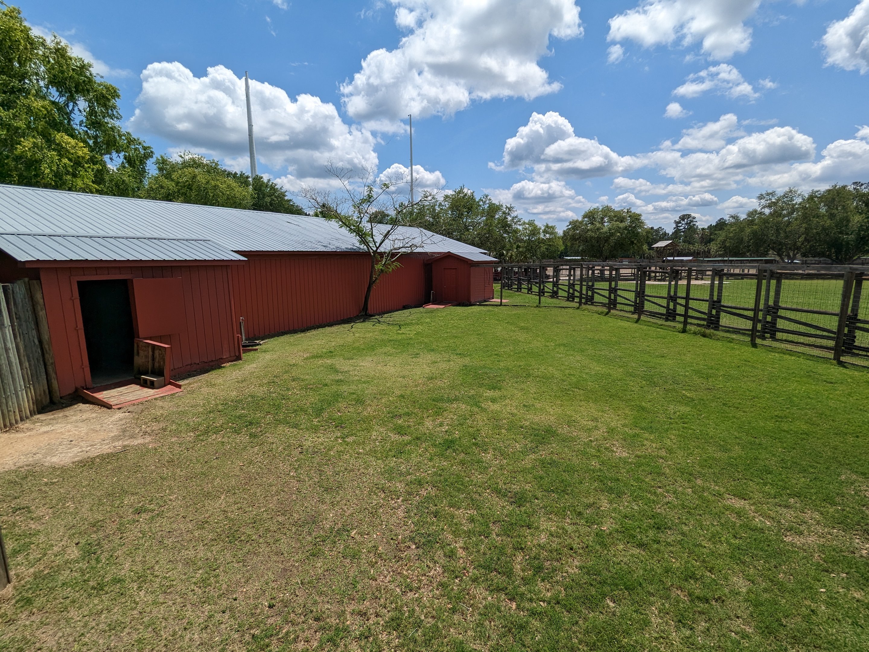 Giraffe overlook - wallaby
