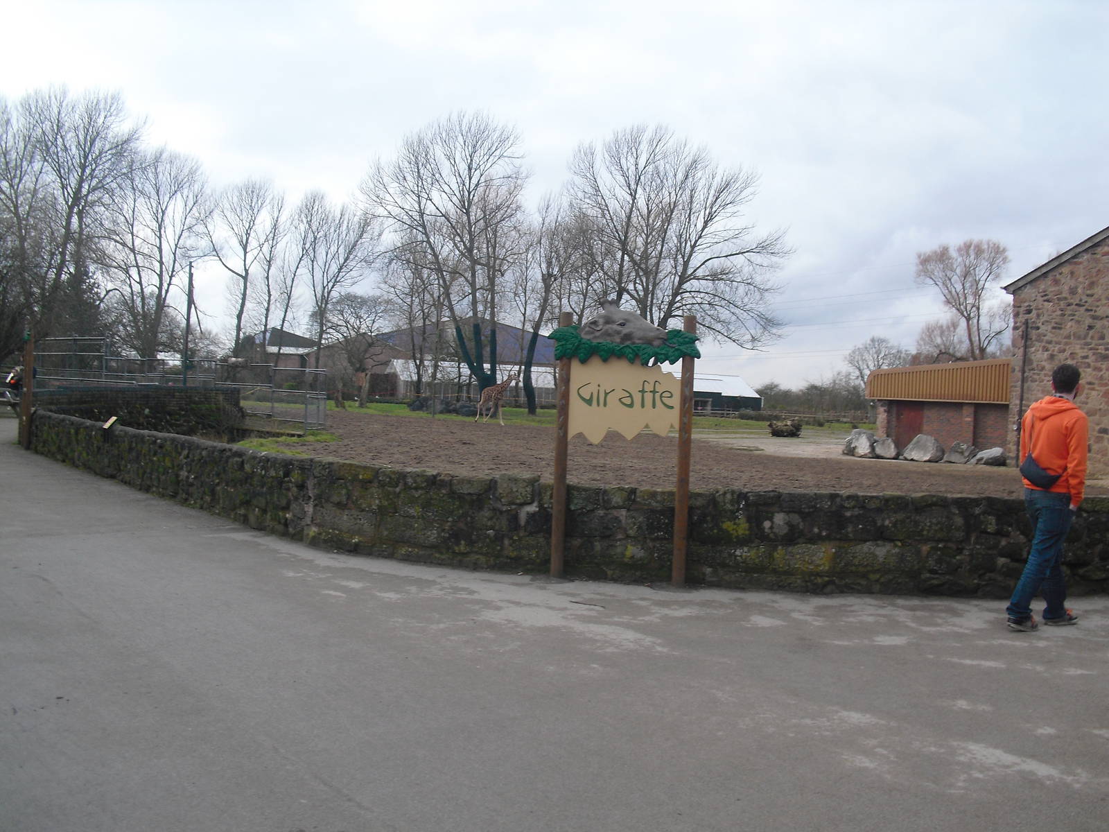 Giraffe Paddock - 16/02/2011